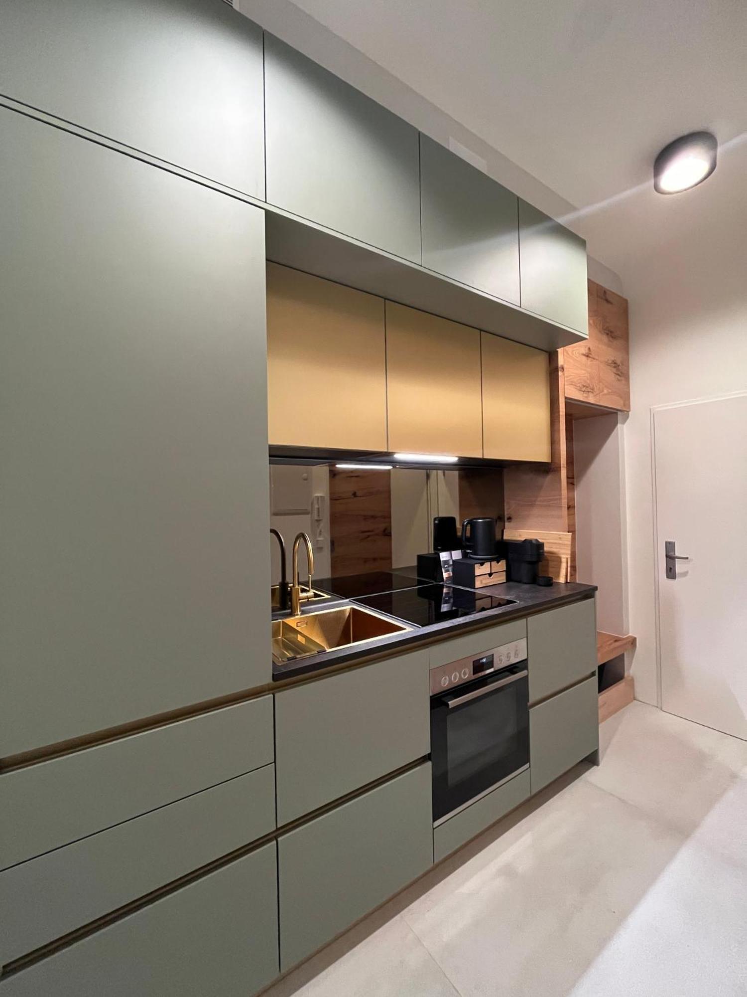 Luxurious One Room Apartment Near Schoenbrunn Palace Vienna Luaran gambar