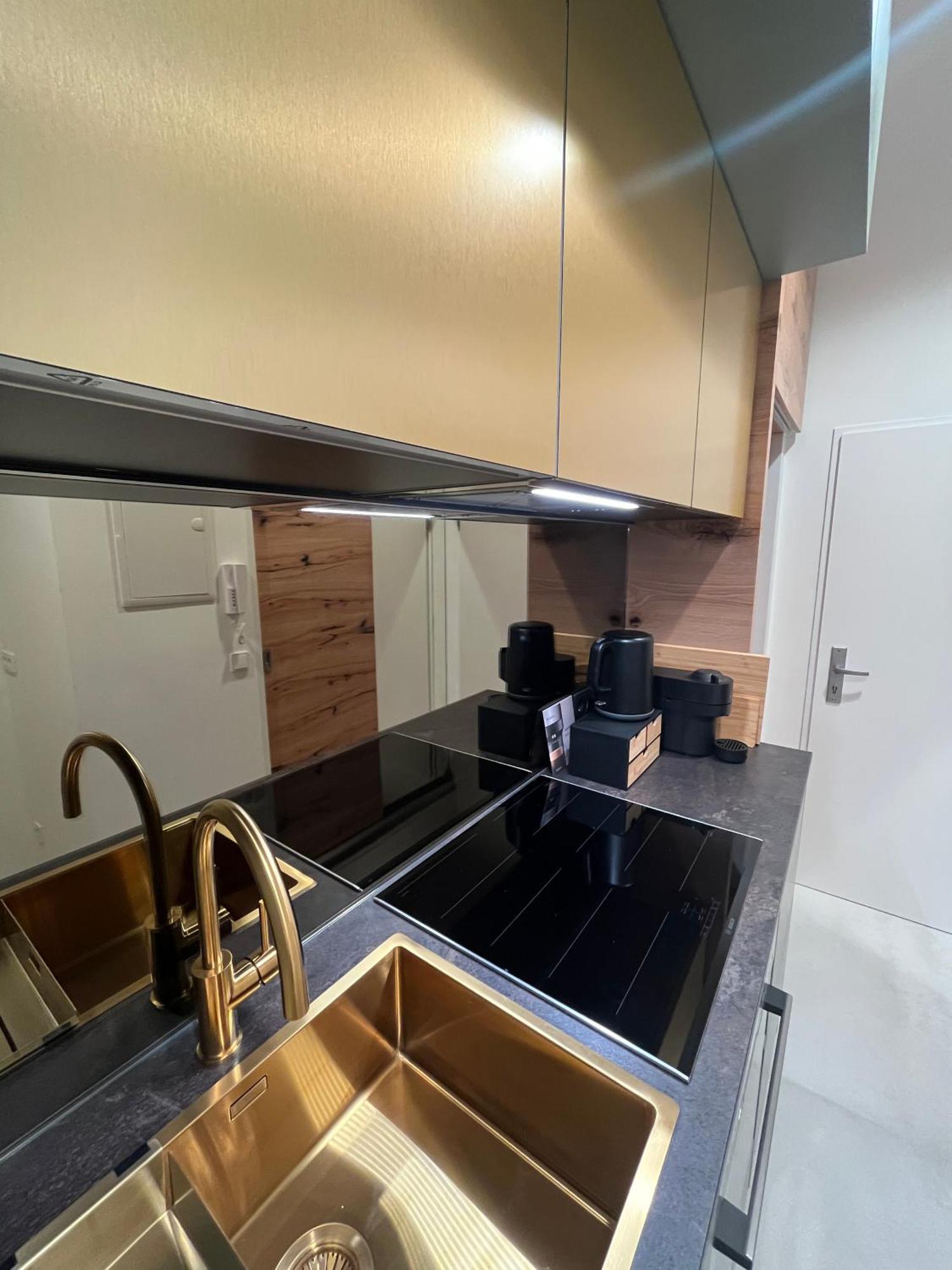 Luxurious One Room Apartment Near Schoenbrunn Palace Vienna Luaran gambar